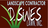 Dsines Lawn Inc